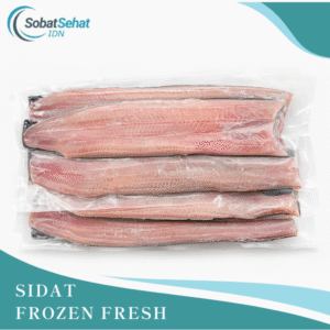 Sidat Frozen Fresh Premium – Belut Jepang Beku Siap Olah