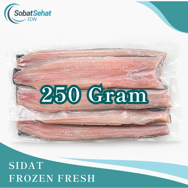 Sidat Frozen Fresh Premium – Belut Jepang Beku Siap Olah - Gambar 2