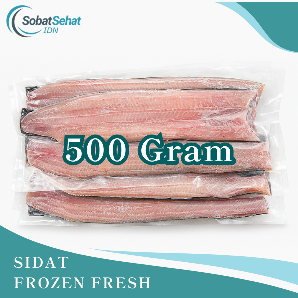 Sidat Frozen Fresh Premium – Belut Jepang Beku Siap Olah - Gambar 3