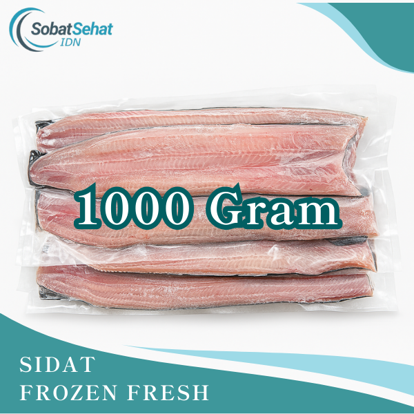 Sidat Frozen Fresh Premium – Belut Jepang Beku Siap Olah - Gambar 4